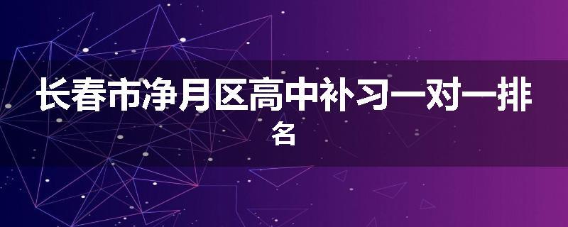 长春市净月区高中补习一对一排名