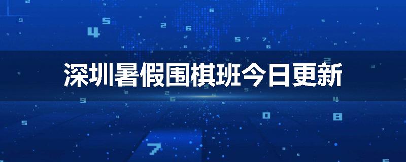 深圳暑假围棋班今日更新