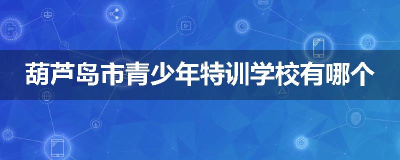 葫芦岛市青少年特训学校有哪个