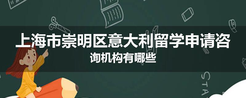 上海市崇明区意大利留学申请咨询机构有哪些