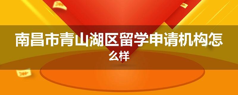 南昌市青山湖区留学申请机构怎么样