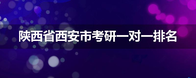 陕西省西安市考研一对一排名