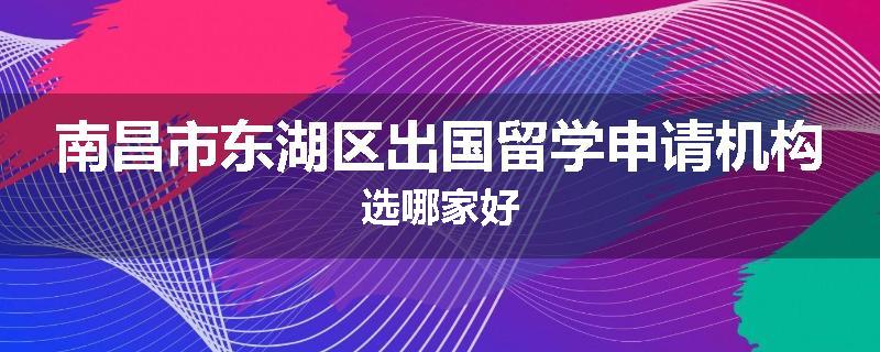 南昌市东湖区出国留学申请机构选哪家好