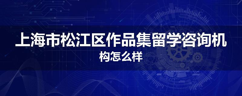 上海市松江区作品集留学咨询机构怎么样