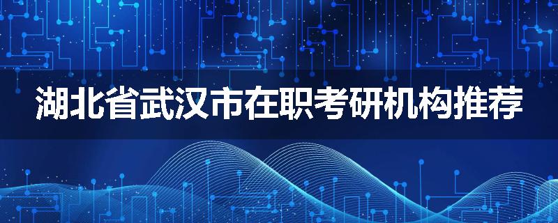 湖北省武汉市在职考研机构推荐