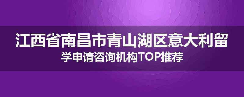 江西省南昌市青山湖区意大利留学申请咨询机构TOP推荐