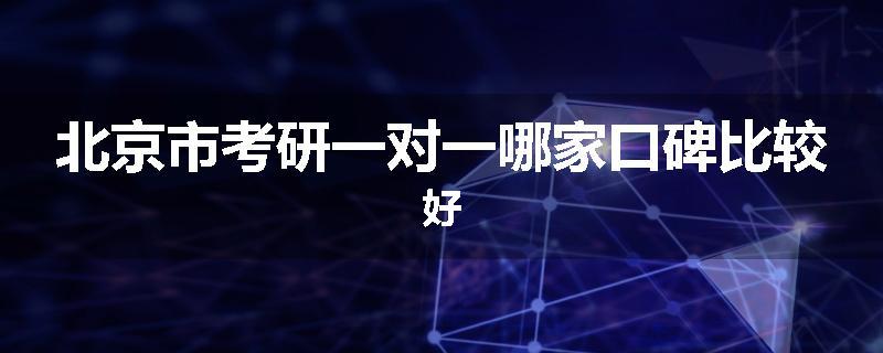 北京市考研一对一哪家口碑比较好