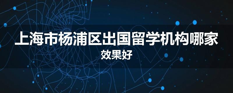 上海市杨浦区出国留学机构哪家效果好