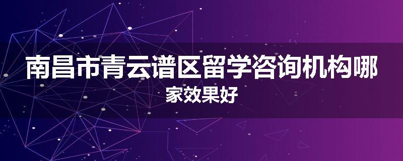 南昌市青云谱区留学咨询机构哪家效果好