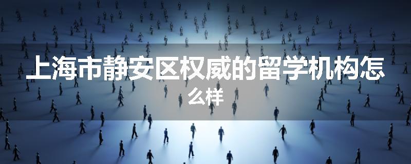 上海市静安区权威的留学机构怎么样