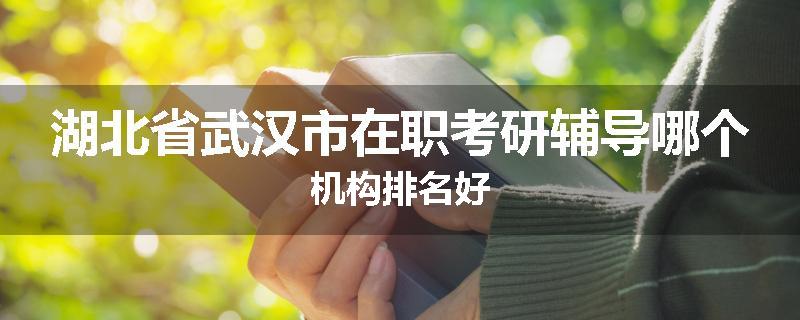 湖北省武汉市在职考研辅导哪个机构排名好