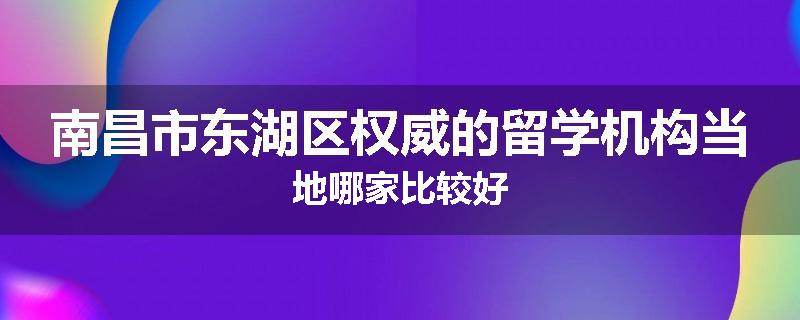 南昌市东湖区权威的留学机构当地哪家比较好