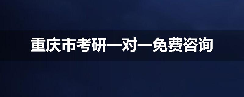 重庆市考研一对一免费咨询