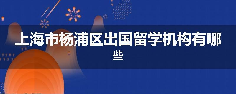 上海市杨浦区出国留学机构有哪些