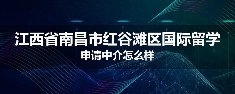 江西省南昌市红谷滩区国际留学申请中介怎么样