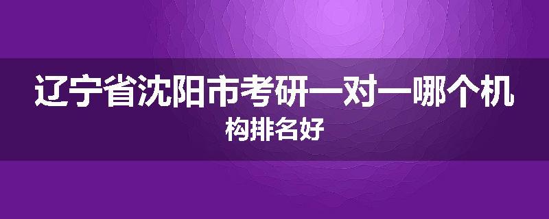辽宁省沈阳市考研一对一哪个机构排名好