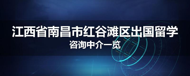 江西省南昌市红谷滩区出国留学咨询中介一览