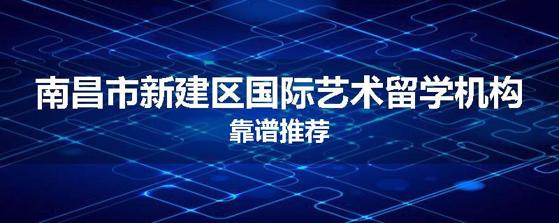 南昌市新建区国际艺术留学机构靠谱推荐