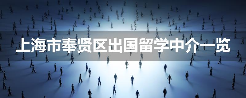 上海市奉贤区出国留学中介一览