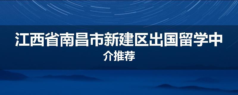 江西省南昌市新建区出国留学中介推荐