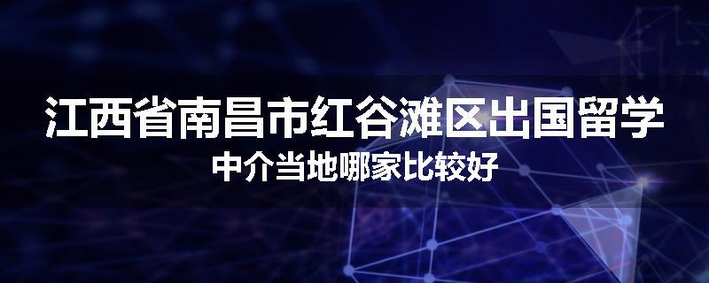江西省南昌市红谷滩区出国留学中介当地哪家比较好