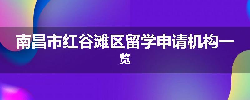 南昌市红谷滩区留学申请机构一览