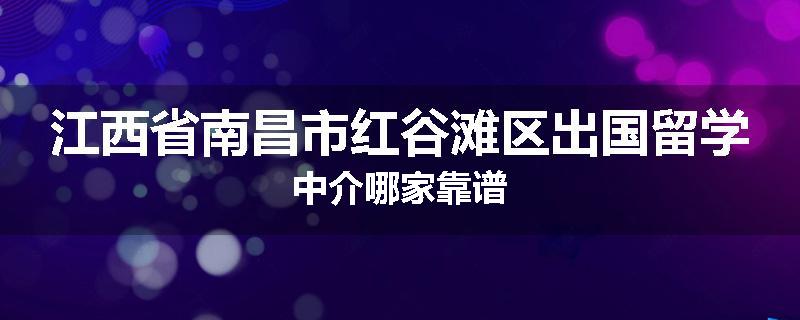 江西省南昌市红谷滩区出国留学中介哪家靠谱