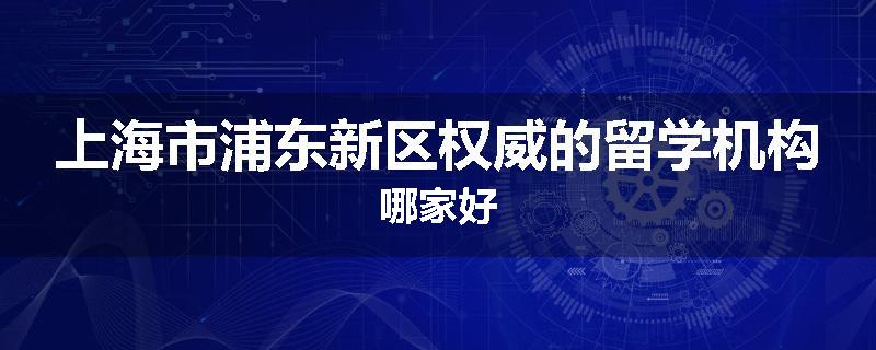 上海市浦东新区权威的留学机构哪家好
