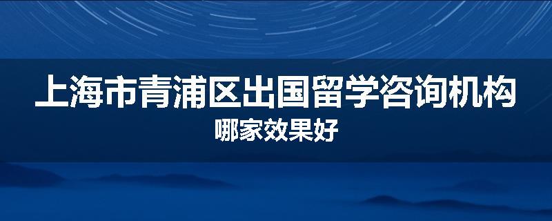 上海市青浦区出国留学咨询机构哪家效果好