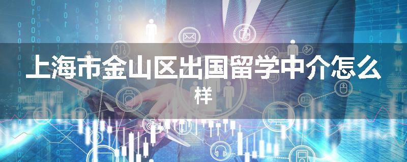 上海市金山区出国留学中介怎么样