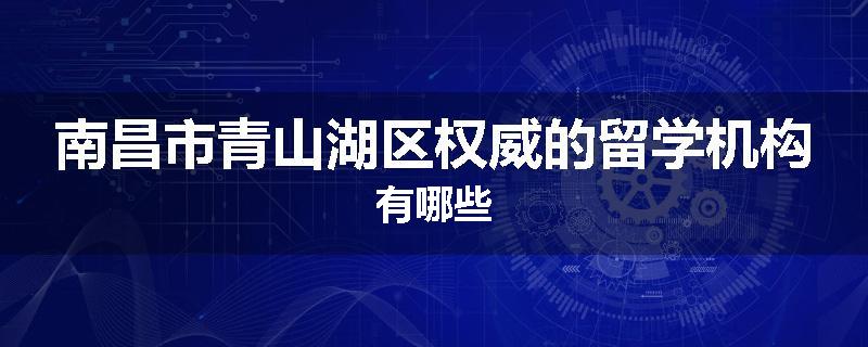 南昌市青山湖区权威的留学机构有哪些