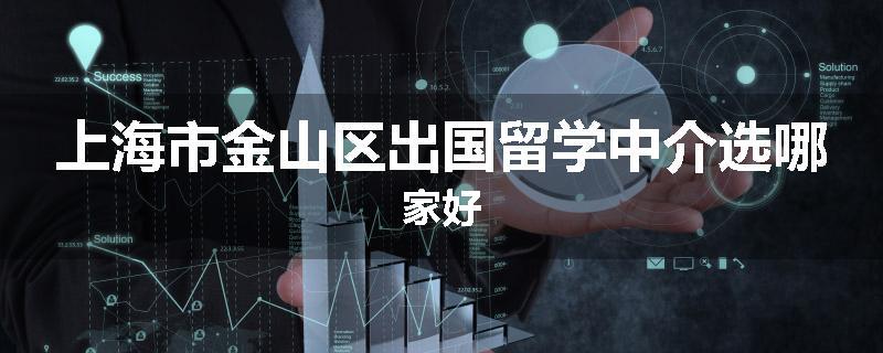 上海市金山区出国留学中介选哪家好