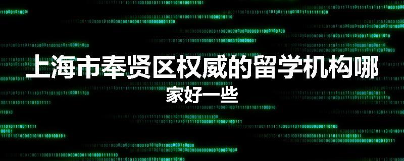 上海市奉贤区权威的留学机构哪家好一些
