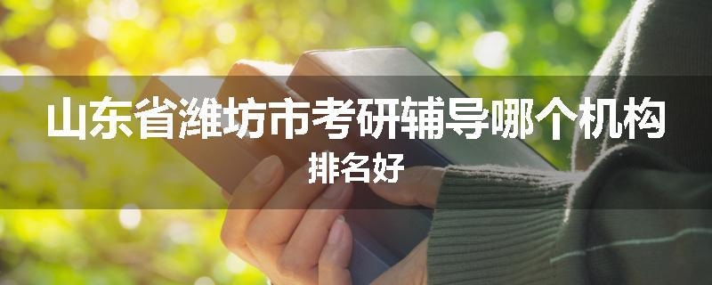 山东省潍坊市考研辅导哪个机构排名好