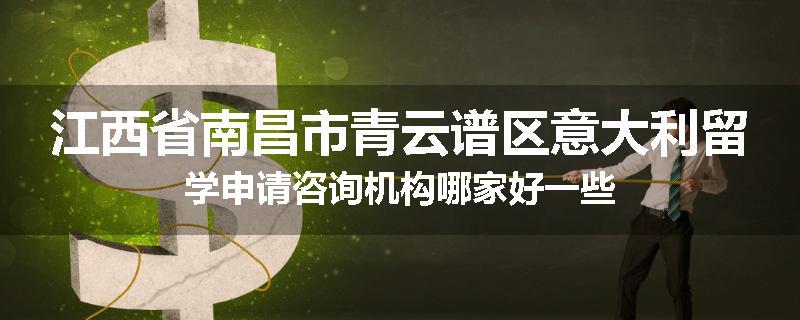 江西省南昌市青云谱区意大利留学申请咨询机构哪家好一些