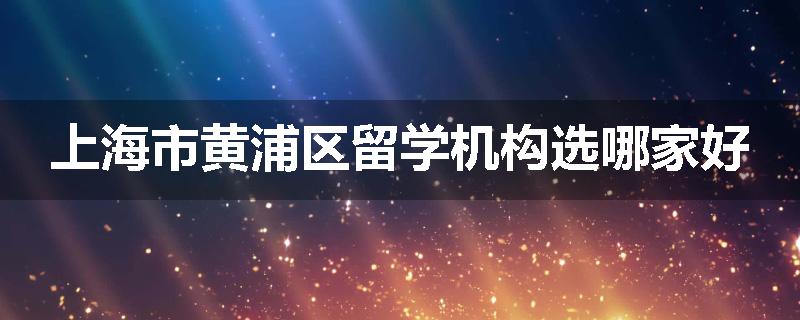 上海市黄浦区留学机构选哪家好