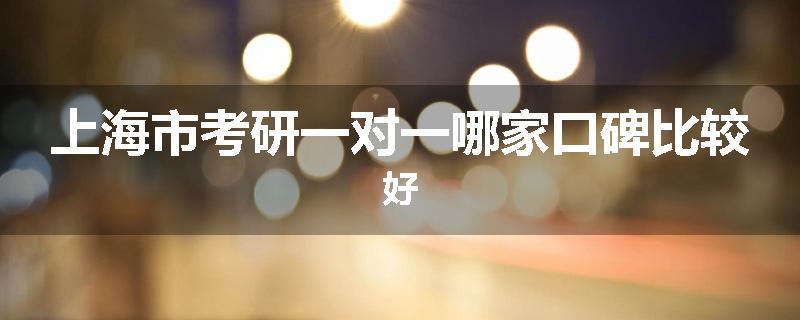 上海市考研一对一哪家口碑比较好