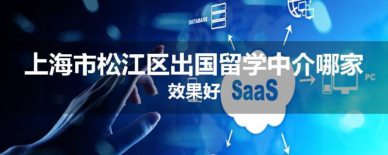 上海市松江区出国留学中介哪家效果好