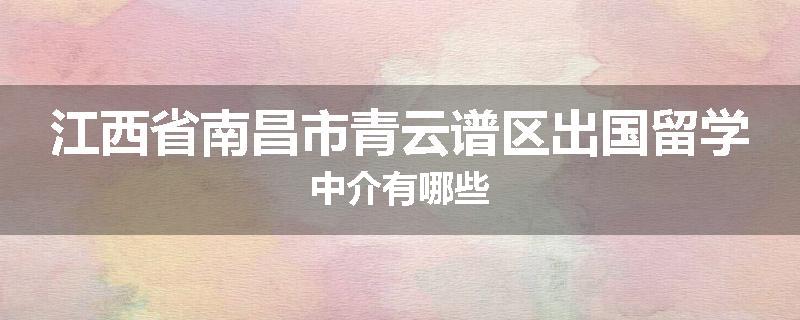 江西省南昌市青云谱区出国留学中介有哪些