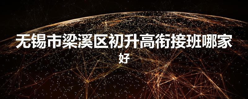 无锡市梁溪区初升高衔接班哪家好