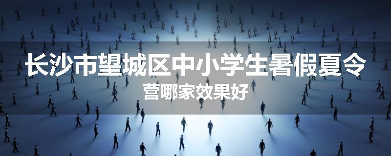 长沙市望城区中小学生暑假夏令营哪家效果好