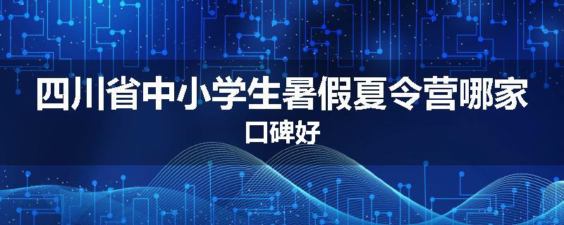 四川省中小学生暑假夏令营哪家口碑好
