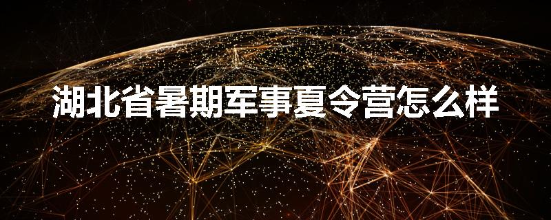 湖北省暑期军事夏令营怎么样