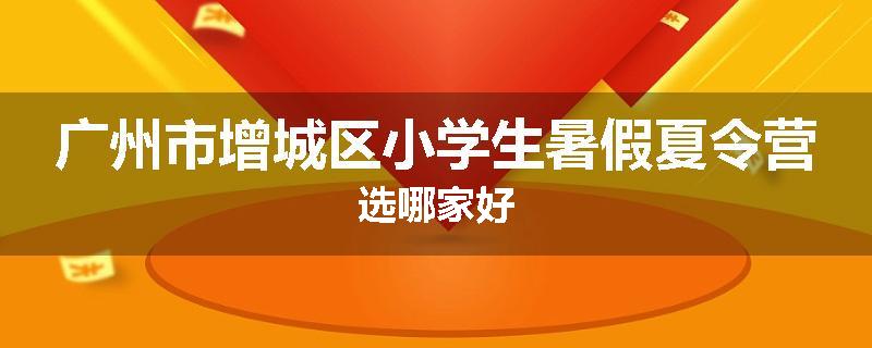 广州市增城区小学生暑假夏令营选哪家好