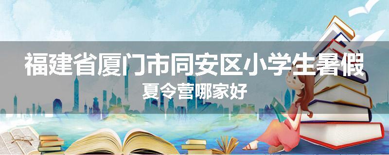 福建省厦门市同安区小学生暑假夏令营哪家好