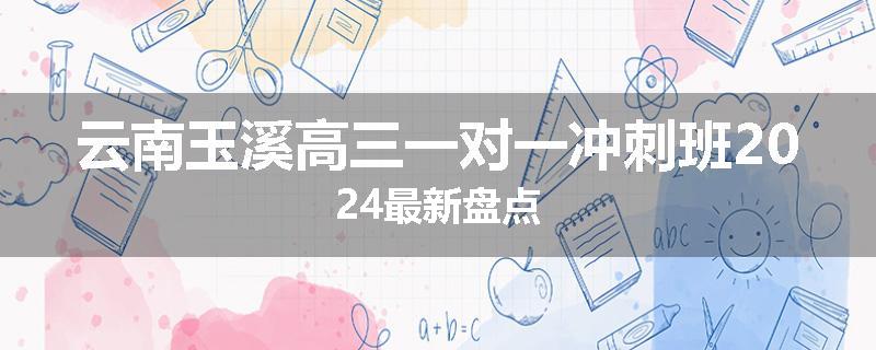 云南玉溪高三一对一冲刺班2024最新盘点