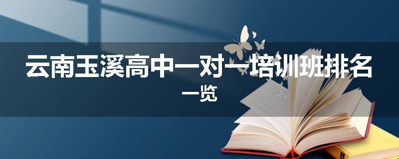 云南玉溪高中一对一培训班排名一览