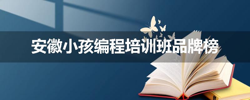 安徽小孩编程培训班品牌榜