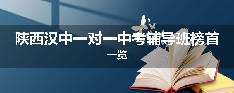 陕西汉中一对一中考辅导班榜首一览