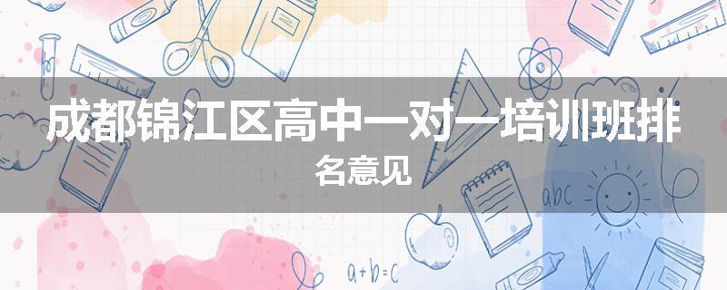 成都锦江区高中一对一培训班排名意见